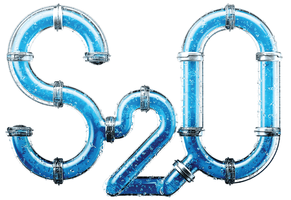 S2O